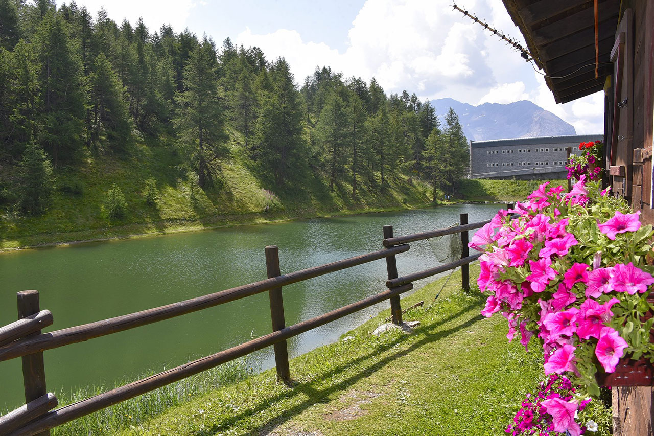 Vista dell'hotel e delle Alpi 2